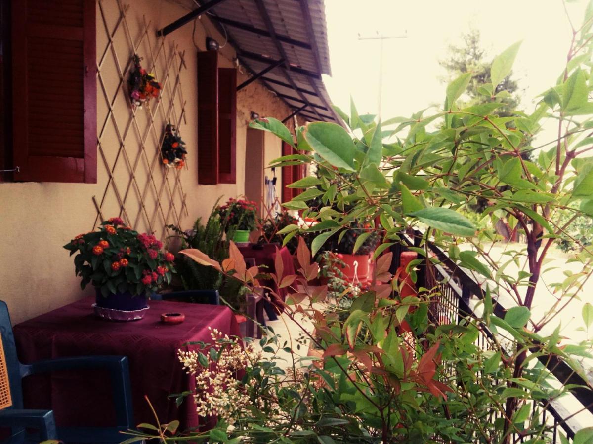 Maison Des Amis Βατοπέδι Εξωτερικό φωτογραφία