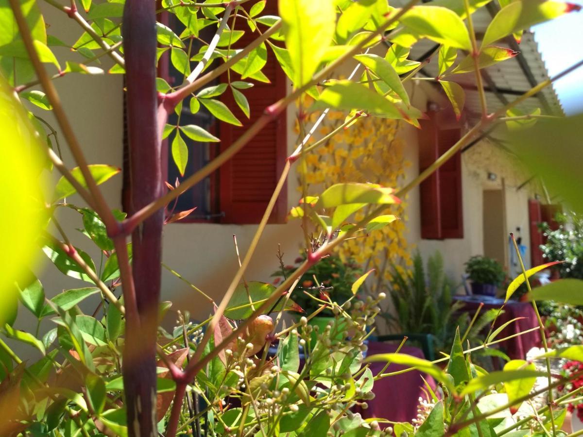 Maison Des Amis Βατοπέδι Εξωτερικό φωτογραφία
