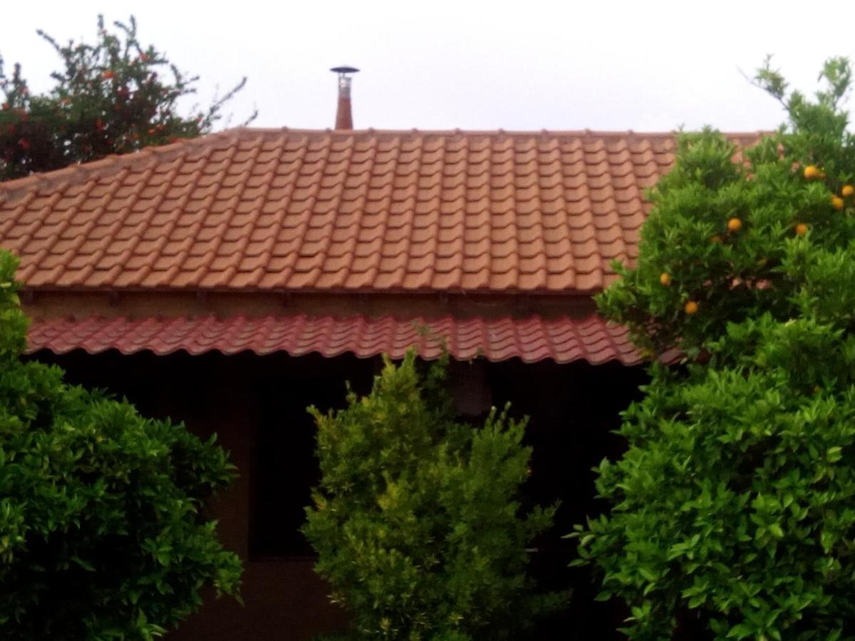 Maison Des Amis Βατοπέδι Εξωτερικό φωτογραφία