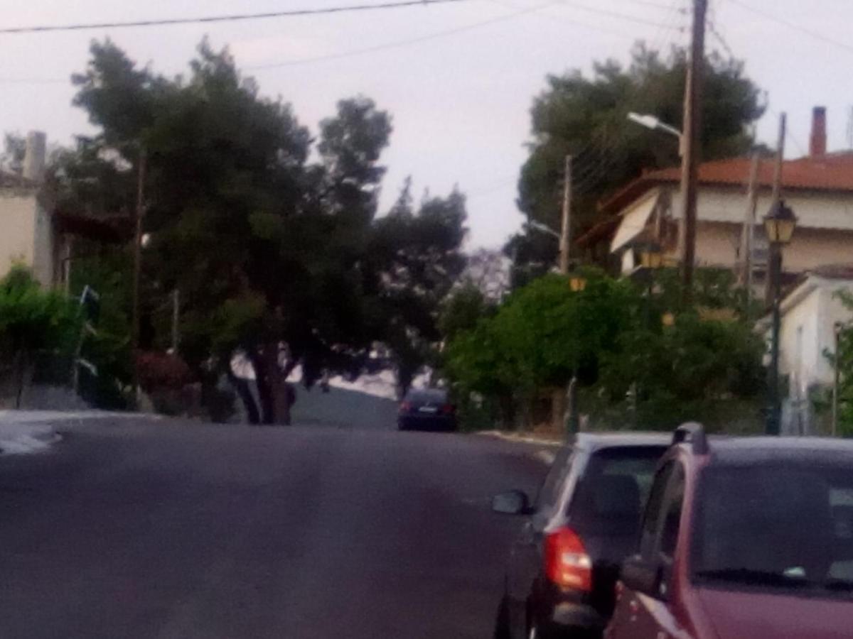 Maison Des Amis Βατοπέδι Εξωτερικό φωτογραφία