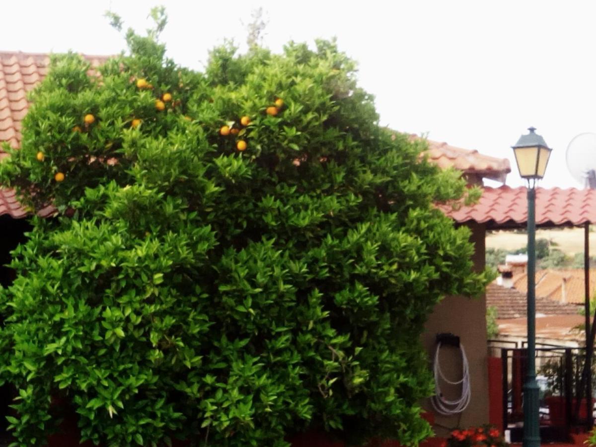 Maison Des Amis Βατοπέδι Εξωτερικό φωτογραφία