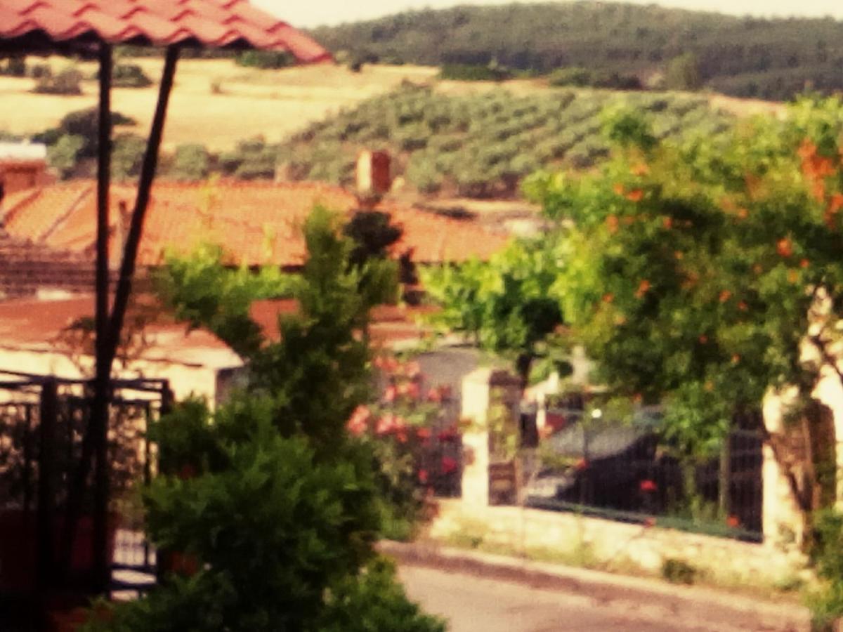 Maison Des Amis Βατοπέδι Εξωτερικό φωτογραφία