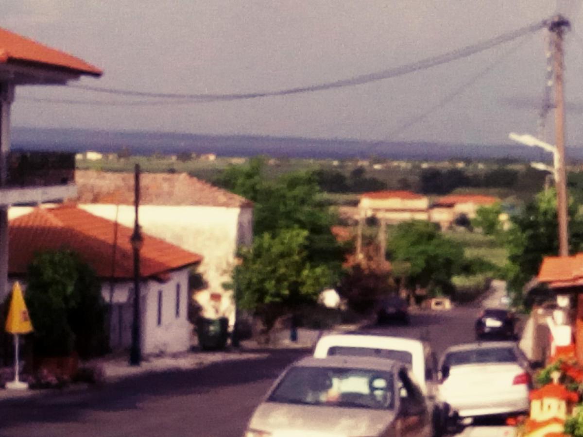 Maison Des Amis Βατοπέδι Εξωτερικό φωτογραφία
